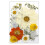 Natural Pressed Dried Flower Leaves Set for-H style 1