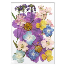 16/18/19/22Pcs Dried Flower For Bookmarks Jewelry Making-Type A