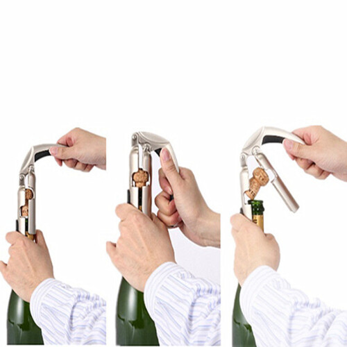 Flaschenöffner für Champagner Silver 1