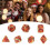 7PC Metal Multi-Sided Dice Set, Home Decor, Game Accessory for 14+ 15