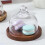 Glass Food Storage Containers with Wooden Lid Kitchen Snack Fruit Candy Nut Sundries Storage Organizer 2