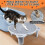 Adjustable Cat Ramp Litter Box Step Double Layer with Filter Function, Elevated Litter Box Ramp for Senior Cats Easy 4