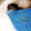 Adjustable Breathable Cat Muzzle Blue, Bite Resistant, Small Size 5