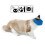 Adjustable Breathable Cat Muzzle Blue, Bite Resistant, Small Size 8