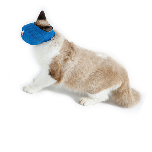 Adjustable Breathable Cat Muzzle Blue, Bite Resistant, Small Size 2