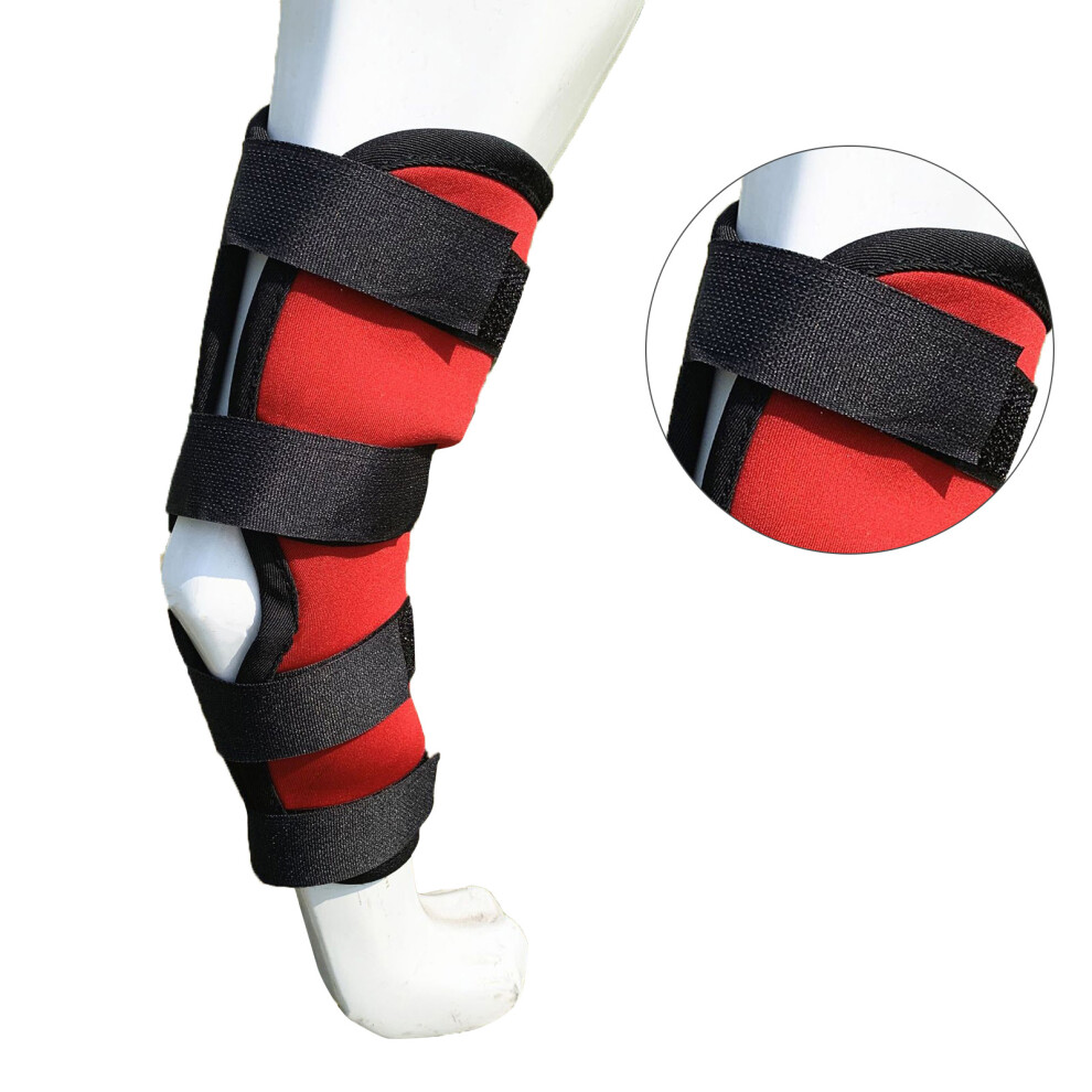 Red Dog Leg Brace Elastic Support For Arthritis Injury, L (43G)