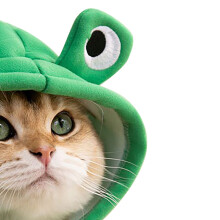 Warm Milk Silk Cat Hoodie with Big Eyes, Size M (2.5-4kg)