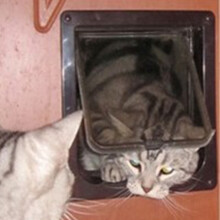 Wearproof Cat Door with Automatic Closure, Black M,ABS