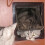 Wearproof Cat Door with Automatic Closure, Black M,ABS 1
