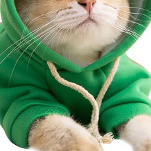 Prevent Hair Loss & Static with Cute Cat Hoodies L Size for 4‑5.5kg Cats