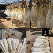 30PCS White Dried Reed Immortal Flowers Pampas Grass for DIY Decor, 42cm
