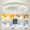 LED Ceiling Fan & Lighting LED Light Adjustable Wind & Remote 6 Speed 3