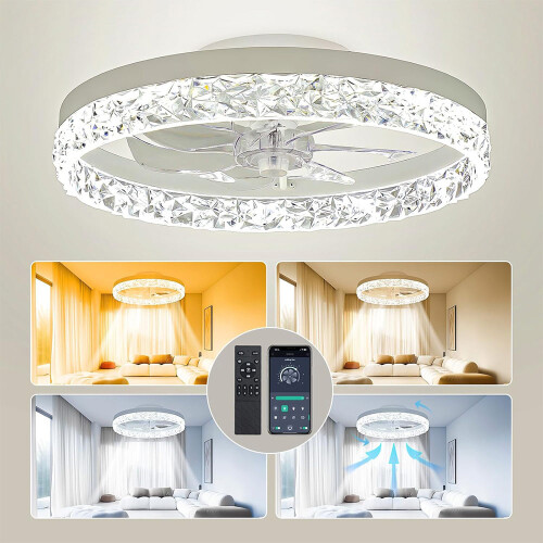 LED Ceiling Fan & Lighting LED Light Adjustable Wind & Remote 6 Speed 2
