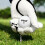 PGM  Practice Range Special Double Layered Balls Strap Directrix High Rebound Long Distance Low Inverted Spin 7