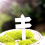 200PCS Plant Labels Plastic Nursery Garden Tags 5