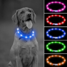 LED-Hundehalsband, beleuchtete Hundekette für Ihren Hund bei nächtlichen Spaziergängen
