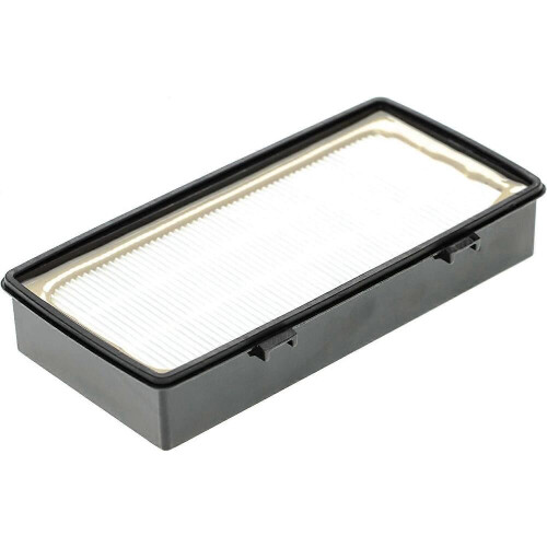 Staubsaugerfilter ersetzt Staubsaugerfilter RS-RT4310; Filter (EPA) 1