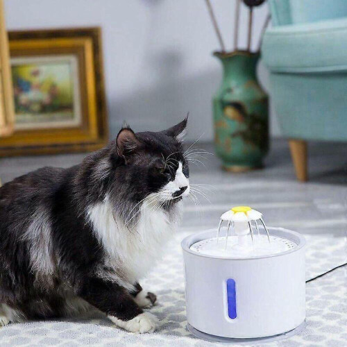 Automatischer Trinkbrunnen für Katzen 2