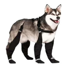 Hundeschuhe mit Riemen, wasserdichte Hundeschuhe mit rutschfester Sohle, Größe XXL, Schwarz