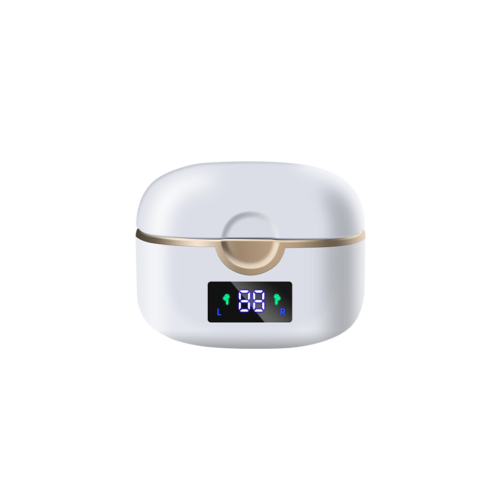 Wireless Bluetooth 5.0 Double Dynamic Speaker Earphones White 7314280365890