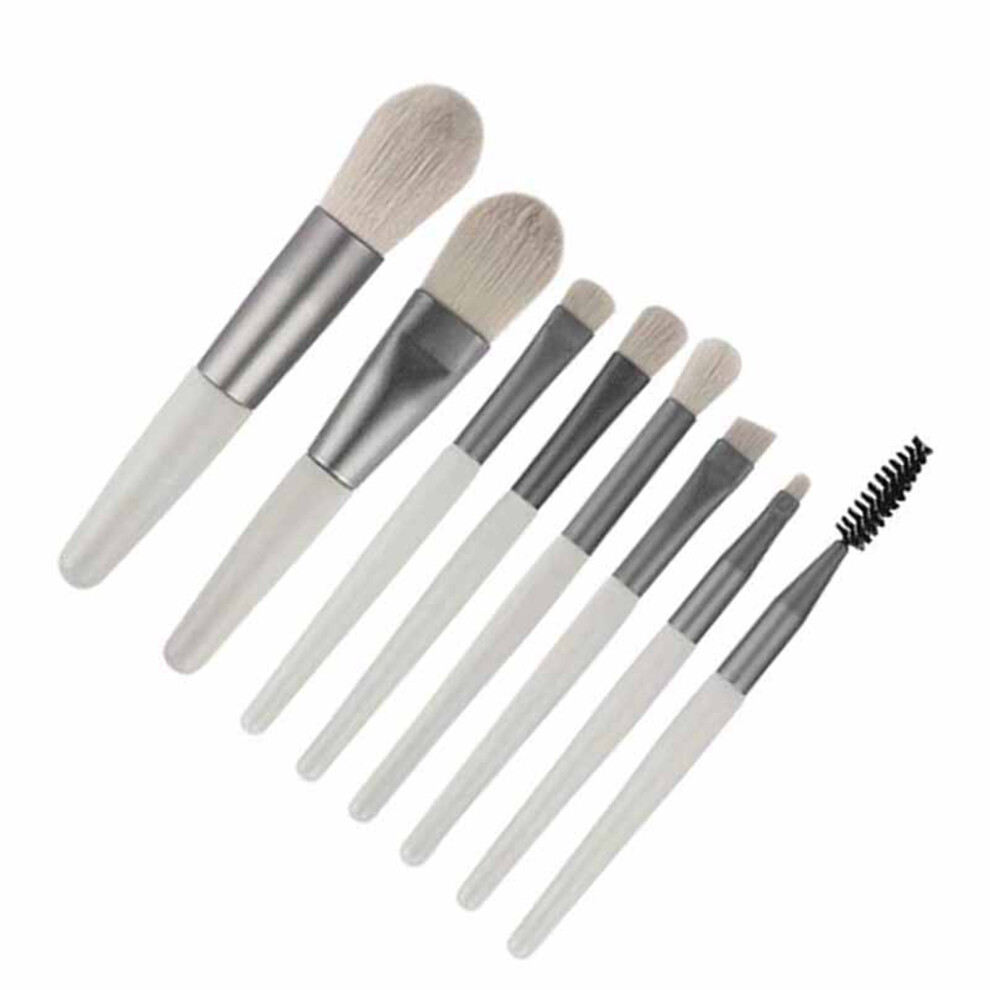 8-Piece Portable Eco-Friendly Makeup Brush Set, 15x10x1.4cm