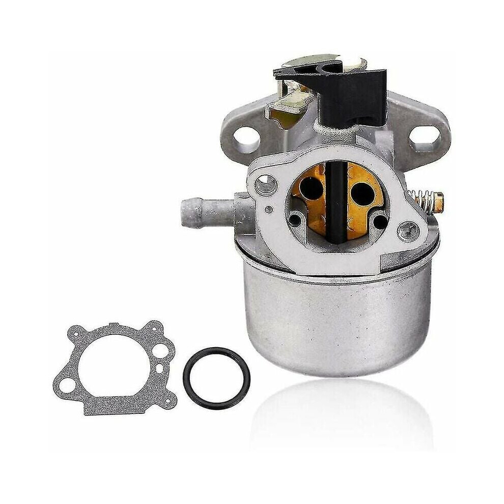 Carburetor For Small Engine, Replacement For Briggs & Stratton 799868 498170 Carburetor With Gasket & O-Ring, Durable Carburetor With Fuel Line & 9169997379863