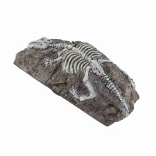 Aquarium Decorative Dinosaur Reliquiae Resin Rock Hideout for Fish and Reptiles