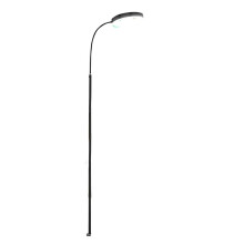 Plant Light, Plant Growth Light, Adjustable Height and Angle, Suitable for Indoor Plants