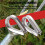 Stainless Steel 2mm Wire Rope Cable Thimbles Silver Tone 20 Pcs 4