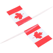 Lot of 50 Pcs  Wooden Toothpick with Flag for Decor of Party Fruit Pastry - Canada