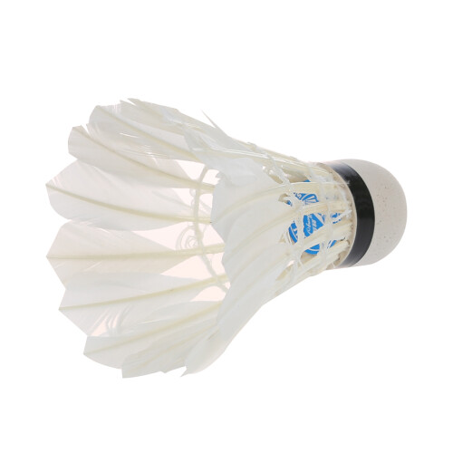 12 White Feather Shuttlecocks Birdies Badminton Training 2
