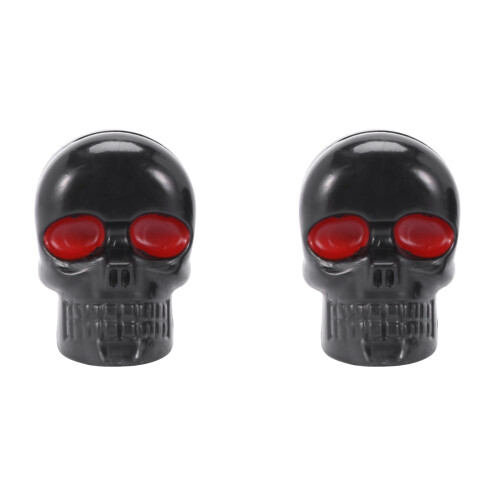 1 Pair Motorcycle Skull Number Plate Frame Screws Fitting Screw Black 1