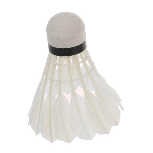 12 White Feather Shuttlecocks Birdies Badminton Training 1