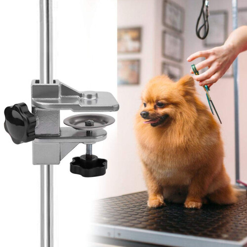Professional Pet Grooming Table Clamp Ensures Stability for-L 2