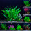 Decorative Plastic Green Plant for Home Office Use-G1138 2