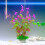 4Pcs Artificial Plant with Base Aquariums Ornament Easy-Green 7
