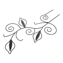 Metal Trellis for Indoor Climbing Plants, Single Stake Support