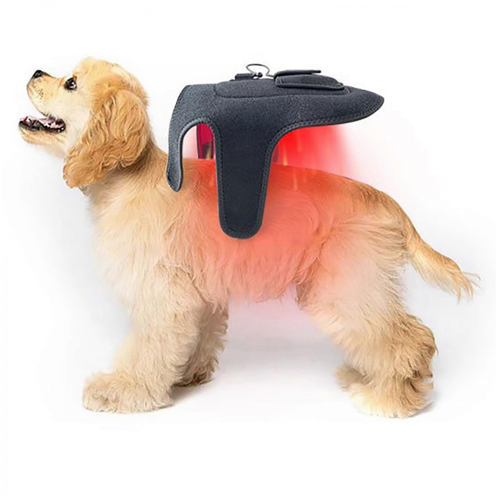 Red/Light Infra Therapy Belt For Pets - 42 Led Rechargeable Pain Relief & Healing Device