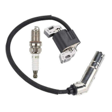 Bobine d'allumage pour moteurs de tondeuses à gazon Briggs & Stratton 595304 595038 795315