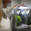 6 Stück Garnelen-Futterbecher für Aquarien, einfache 4
