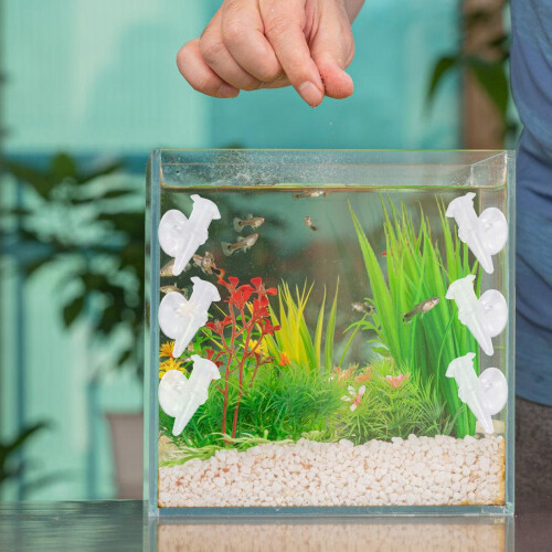 6 Stück Garnelen-Futterbecher für Aquarien, einfache 1