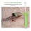 Easy One-Hand Use Bite Extractor for Bee and Wasp Sting Relief 5