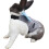 Adjustable Rabbit Bowknot Harness with Leash for-Red plaid S 5