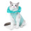 Comfortable Cats Recovery Bodysuit for Wound-Green L 1