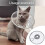Protective Pet Recovery Collar Prevent Scratching Adjustable-XL 3