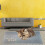 Soft Silicone Pet Mat with Raised Edges Feeding Mat Resting Mat 4