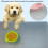 Soft Silicone Pet Mat with Raised Edges Feeding Mat Resting Mat 2
