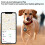 Silikon AirTags Hülle für Apple AirTag Tracker Black  4 Packung 3