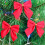 Dekoschleifen Weihnachtsdekoration rot 12er-Pack 2