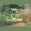 Convenient Window Feeders for Wild Bird Window Mounted Bird 5